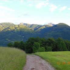 Clicca_per_INGRANDIRE_la_Foto