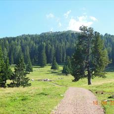 Clicca_per_INGRANDIRE_la_Foto